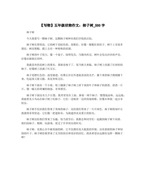 【写物】五年级状物作文：柿子树_500字