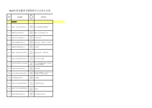 2013年度专精特新中小企业