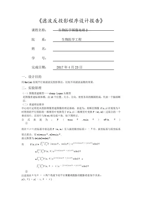滤波反投影程序设计报告