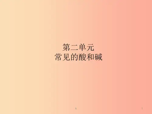 (淄博专版)2019年中考化学复习 第一部分 九全 第二单元 常见的酸和碱课件 鲁教版