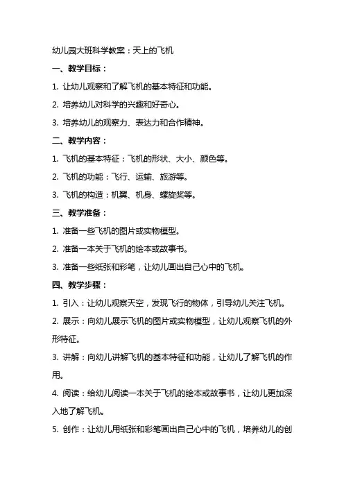 幼儿园大班科学教案：天上的飞机
