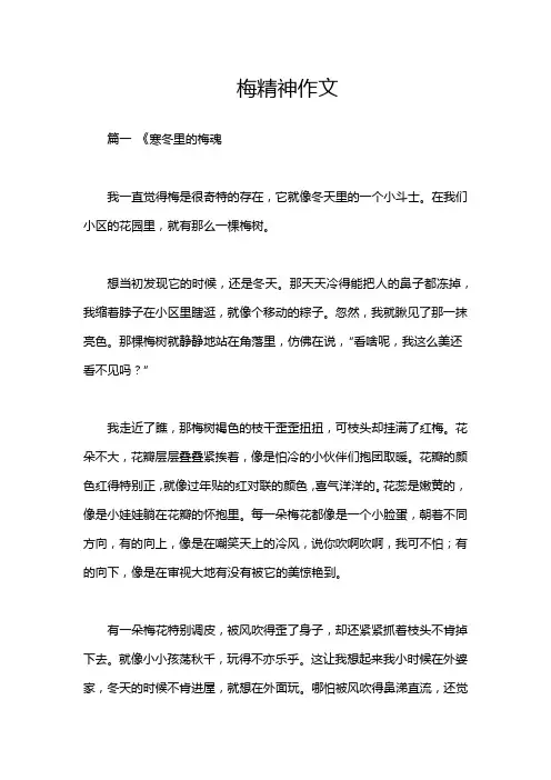 梅精神作文