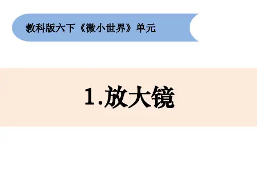 《放大镜》小学科学六年级下册PPT课件