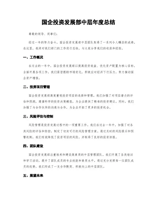 国企投资发展部中层年度总结