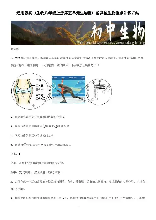 通用版初中生物八年级上册第五单元生物圈中的其他生物重点知识归纳 (2)