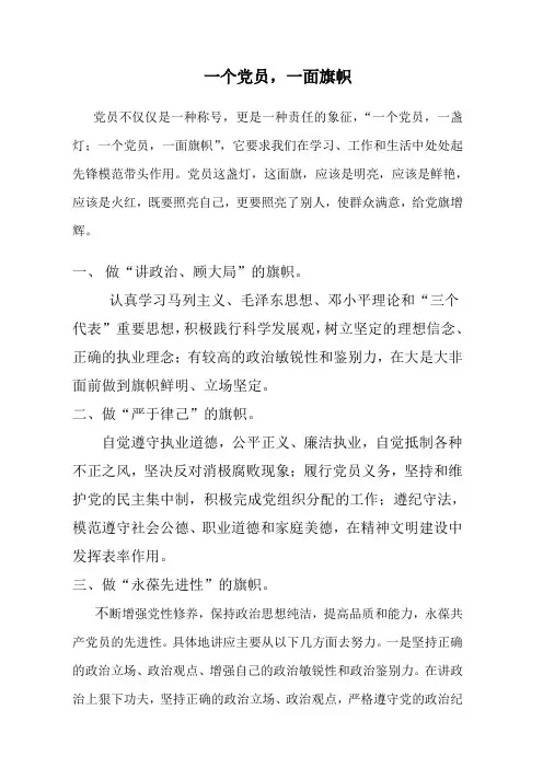 一个党员,一面旗帜-心得体会
