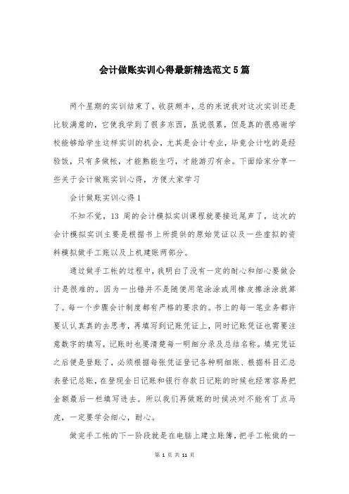 会计做账实训心得最新精选范文5篇