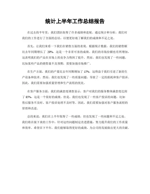 统计上半年工作总结报告