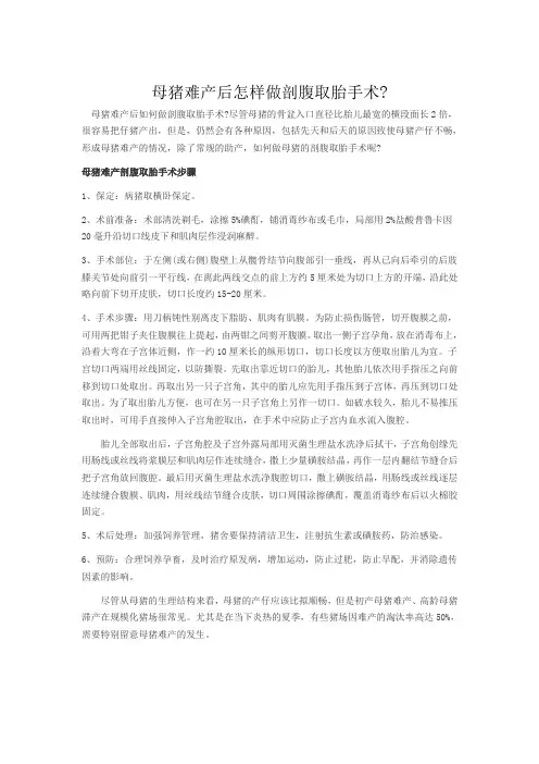 1母猪难产后怎样做剖腹取胎手术