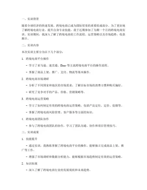典阅跨境电商实训报告