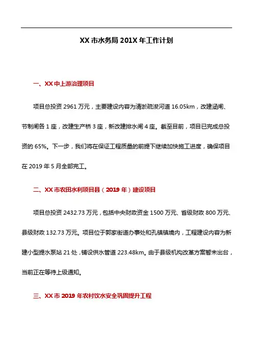 工作计划：XX市水务局201X年工作计划