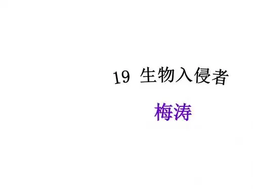 人教版八年级语文上册教学课件：19《生物入侵者》