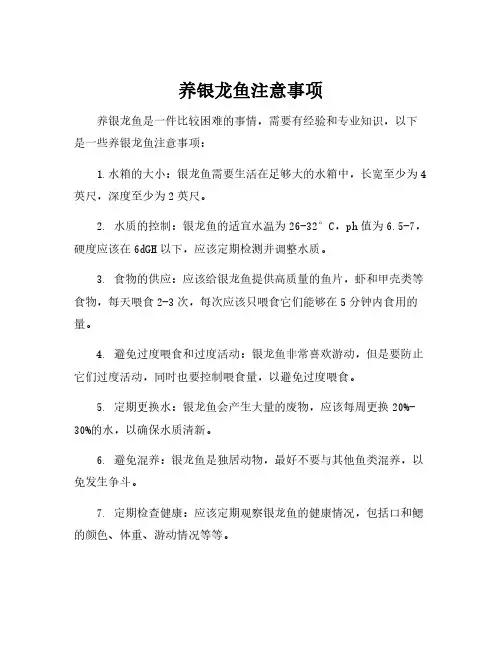 养银龙鱼注意事项