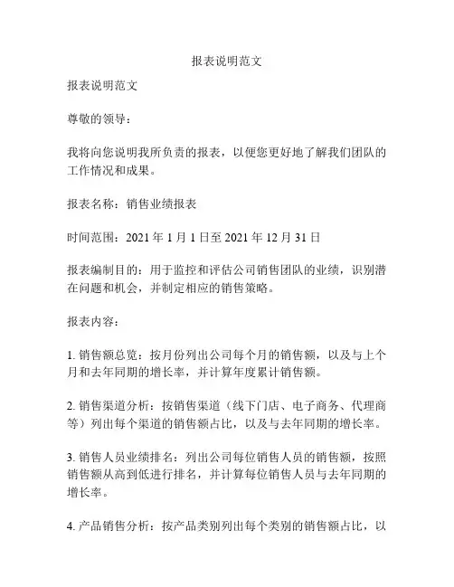 报表说明范文