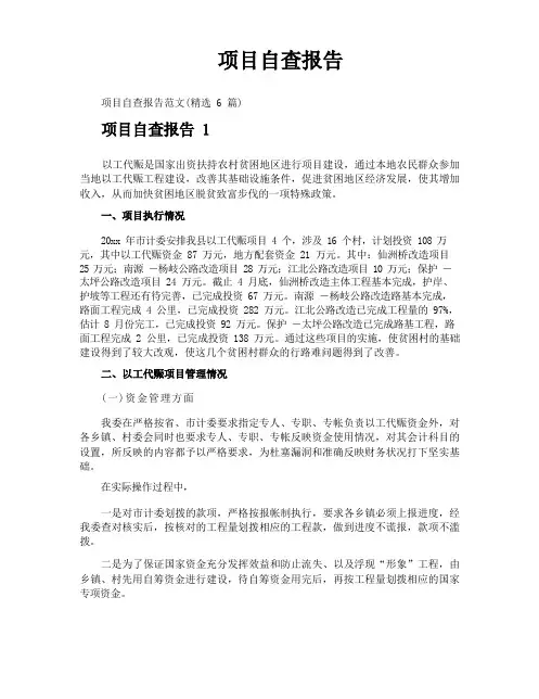 项目自查报告