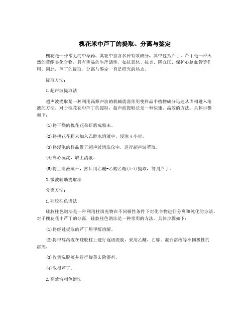 槐花米中芦丁的提取、分离与鉴定