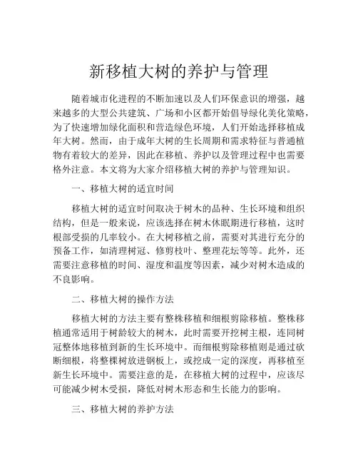 新移植大树的养护与管理