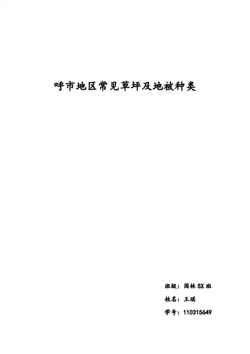 呼市地区常见草坪及地被种类