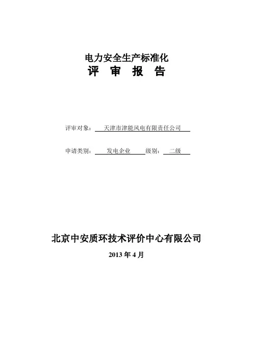 天津市津能风电有限责任公司电力安全生产标准化评审报告—--标准.技术