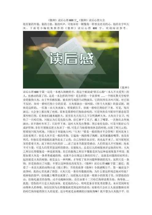 《狼种》读后心得600字_《狼种》读后心得大全