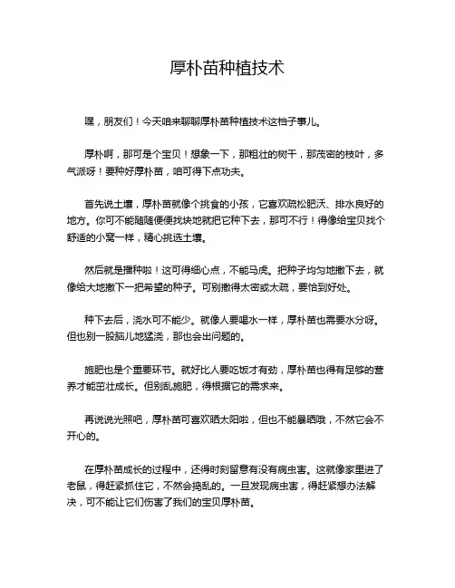 厚朴苗种植技术