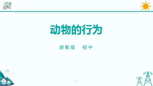 浙教版八年级上册科学《动物的行为》说课教学课件