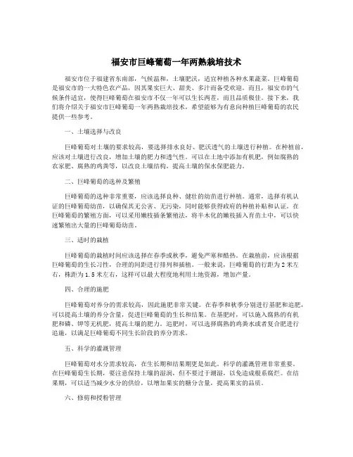 福安市巨峰葡萄一年两熟栽培技术