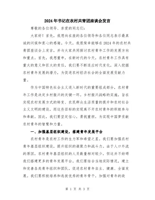 2024年书记在农村共青团座谈会发言