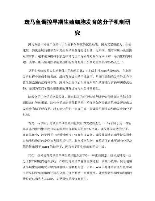 斑马鱼调控早期生殖细胞发育的分子机制研究