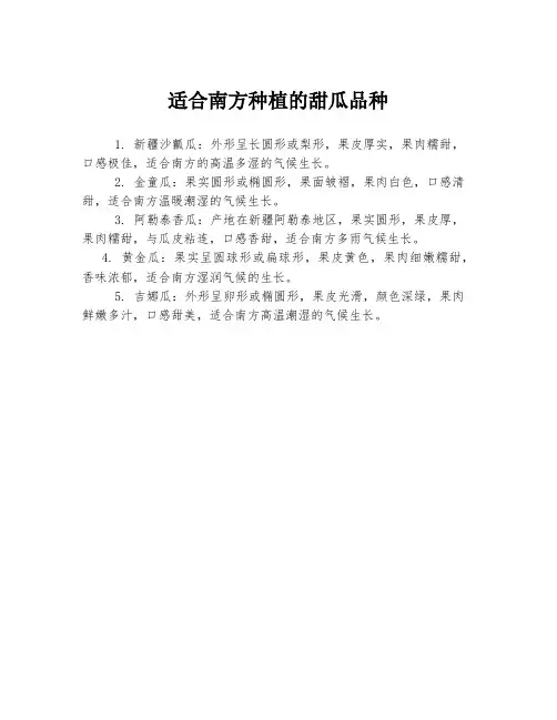 适合南方种植的甜瓜品种