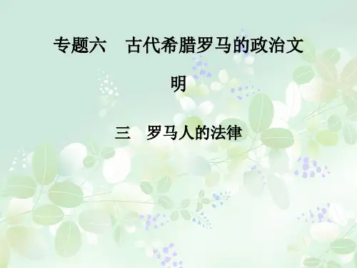 罗马人的法律PPT精品课件