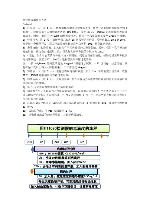 测定病毒滴度的方法