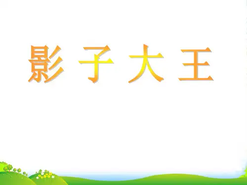 二年级美术上册 影子大王 1课件 湘美版