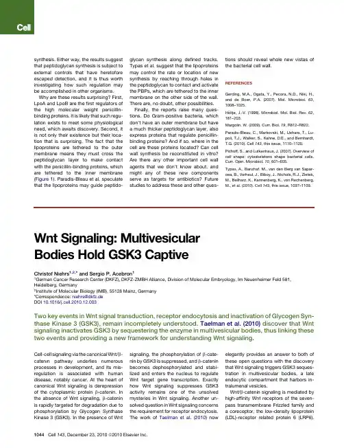 Wnt Signaling Multivesicular Bodies Hold GSK3 Captive