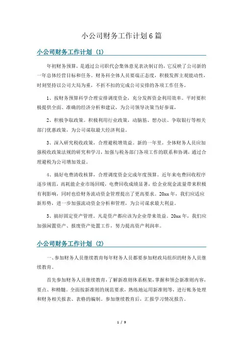 小公司财务工作计划6篇