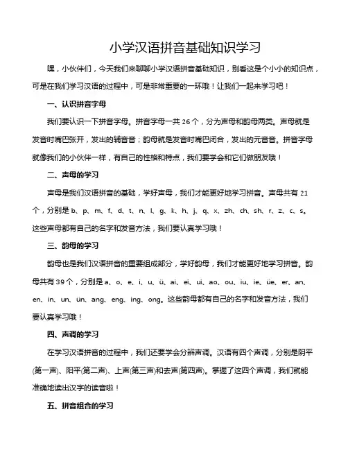 小学汉语拼音基础知识学习
