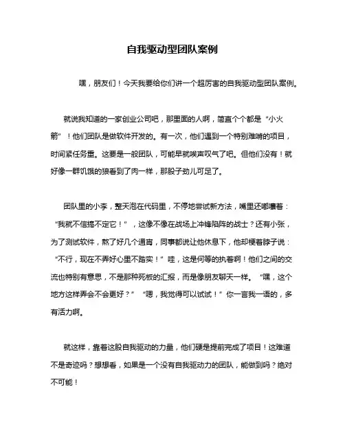 自我驱动型团队案例