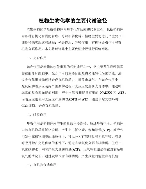植物生物化学的主要代谢途径