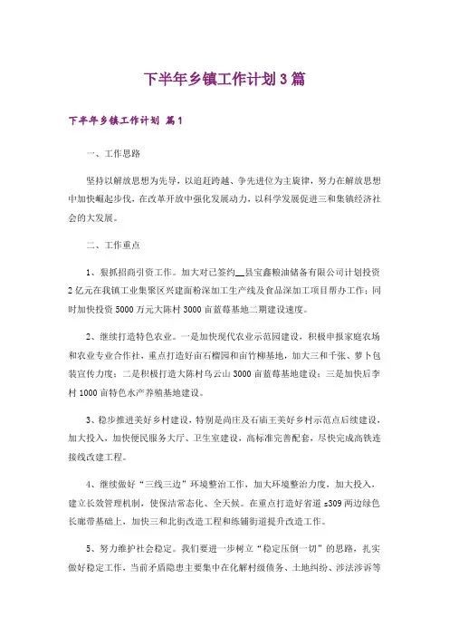 下半年乡镇工作计划3篇_3