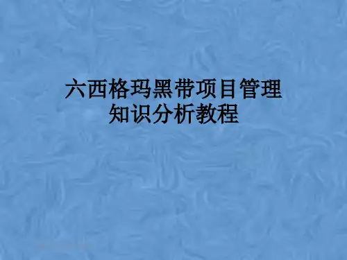 六西格玛黑带项目管理知识分析教程