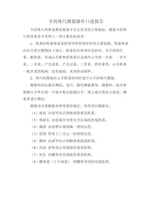 羊的体尺测量操作口述报告