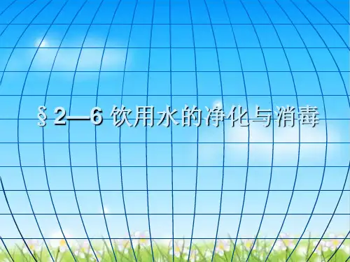 浅谈饮用水的净化与消毒(ppt 29页)