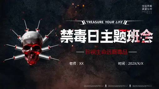 青少年禁毒教育知识宣传毒品知识PPT  (63)