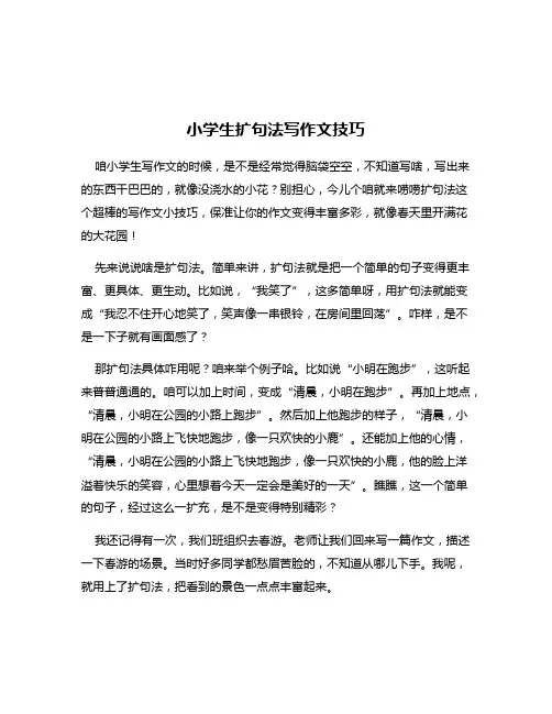 小学生扩句法写作文技巧