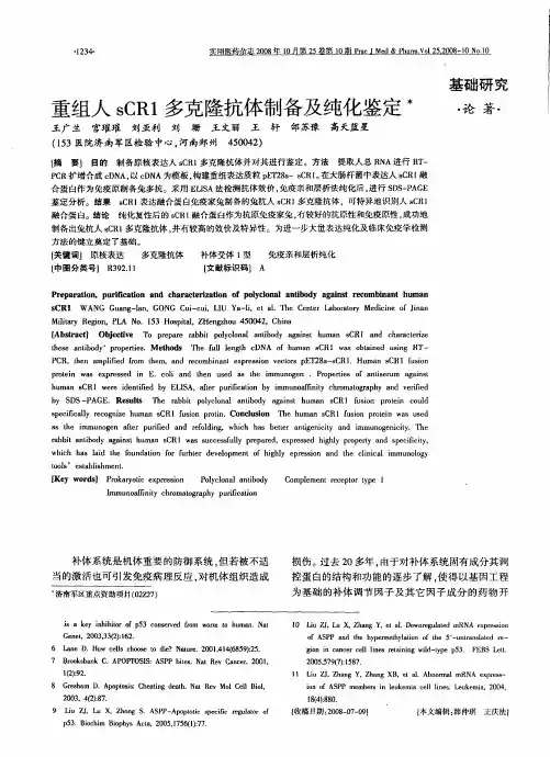 重组人sCR1多克隆抗体制备及纯化鉴定