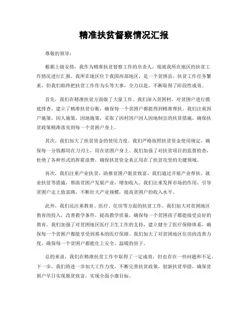 精准扶贫督察情况汇报