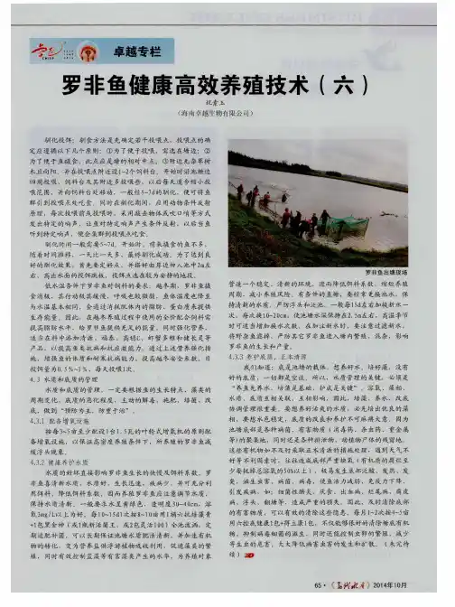 罗非鱼健康高效养殖技术(六)