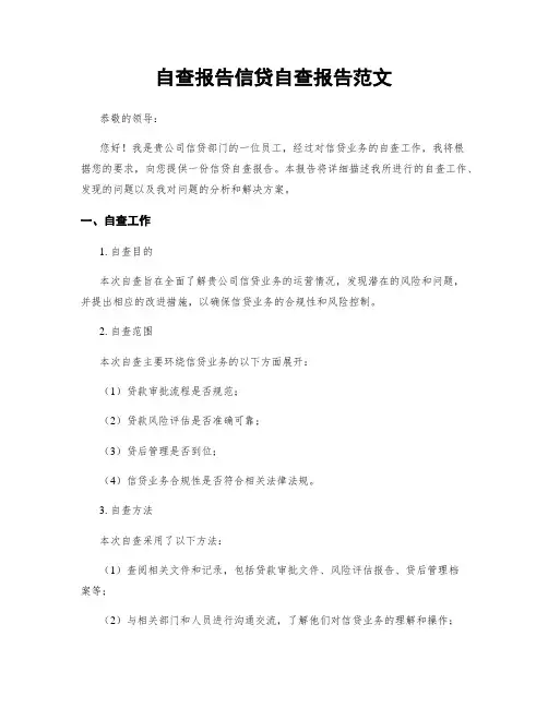 自查报告信贷自查报告范文