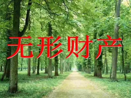 思想品德人教八年级下册《无形的财产》课件3
