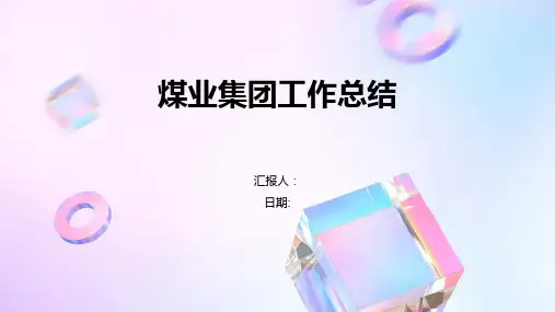 煤业集团工作总结